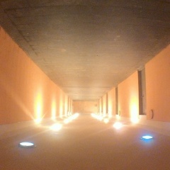 Элиас Погодаев, 22.02.1995