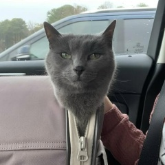 Максим Морзюков, 23.06