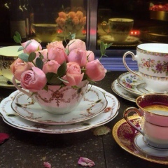 Марина Цицкиева, 12.01.1993, Москва