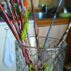 Александр Корнев, 14.07