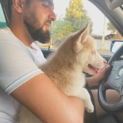 Edgar Hovhannisyan, Ржев