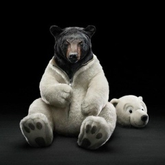 Миша Мишковский