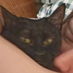 Иван Божественный, 21.12, Санкт-Петербург