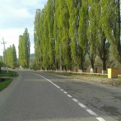 Анзор Хадисов, 28.07