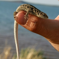 Сергей Пономарёв, 22.05, Уфа