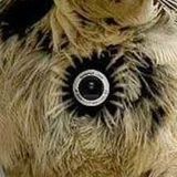 Роман Ромашкин, 21.12, Севастополь