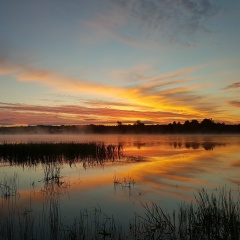 Алена Решетняк, Санкт-Петербург