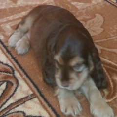 Сережа Жирнов, 10.06, Москва