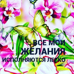 Дамира Будажапова, 05.09, Москва