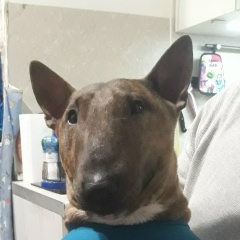 Сергей Куликов, 06.04, Санкт-Петербург