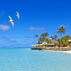 Сергей Ивлев, 01.01