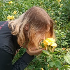 Людмила Телвани, 27.12.2008