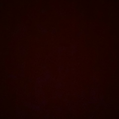 Алекса Жарина, 01.01.2005, Москва