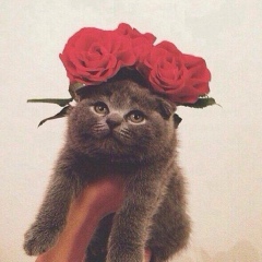 Aktolkyn Srazhadin, 01.08.1993, Караганда