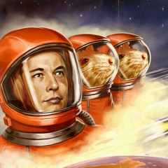 Нелли Афанасьева, 20.11.1989, Хрустальный / Красный Луч