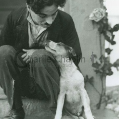 Rikki Taita, Москва