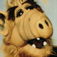 Роман Роман, 13.08.1986, Винница