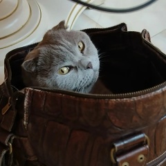 Алина Шиянова, Санкт-Петербург