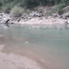 Алексей Поздняков