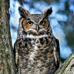 Алексей Коломейцев, 02.06.1977, Рязань