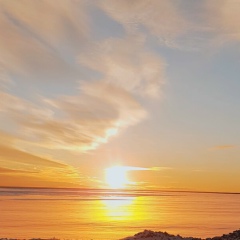 Абзал Оспанов, 20.05, Алматы