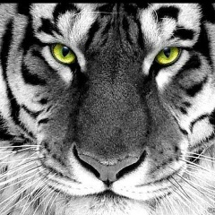 Мария Садикова