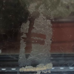 Артём Мурашов, 18.10.1992, Москва