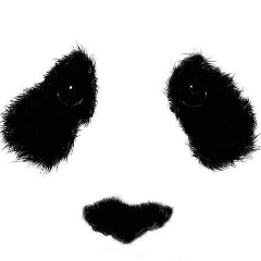 Влад Шалаев, Набережные Челны