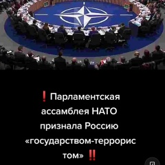 Мирослава Шевченко