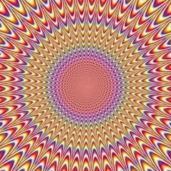 Тимур Аметов, Краснодар