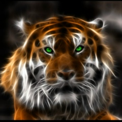 Дмитрий Карабутов, 09.12.1986