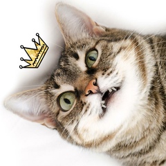 Марина Мазурина, 10.01.1990, Санкт-Петербург