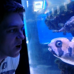 Тарас Заморин, 04.04.1989, Мариуполь