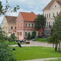Александр Визгалов, 08.05.1987
