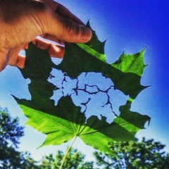 Хамит Ашыкбаев, 26.06.1987