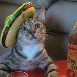 Артем Васильчиков, 15.09, Москва