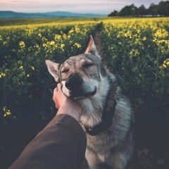 Илья Плюснин