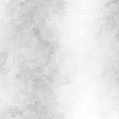 Страница Златина, Москва