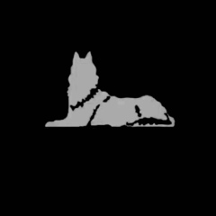 Муслим Хасанов, 21.05.1995, Грозный