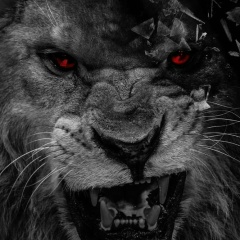 Максим Гончаров, 26.05, Чехов