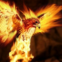 Антон Суворов, 19.05, Киев