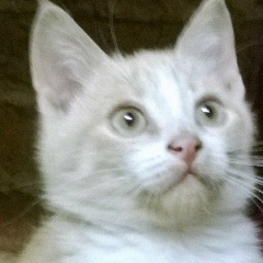 Юрий Гергель, 25.05, Ногинск