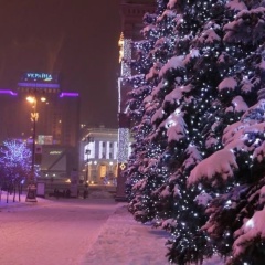 Виталий Виталий, 01.01, Киев