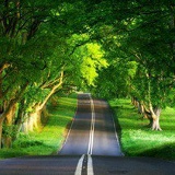 Вафа Асадова, Екатеринбург