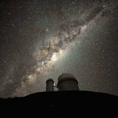 Николай Мясников