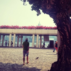 Кирилл Александрович, 21.01.1994, Санкт-Петербург