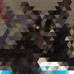 Стас Николаев, 29.08, Санкт-Петербург