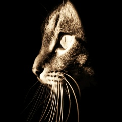 Андрей Чинкин, 03.08.1984