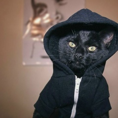 Дарина Превед, 31.05.1920, Якутск