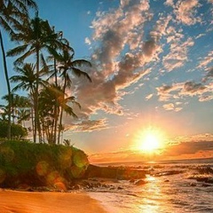 Давит Петров, Киев